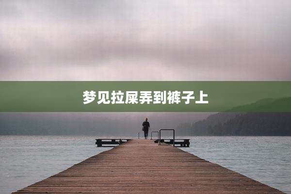 梦见拉屎弄到裤子上