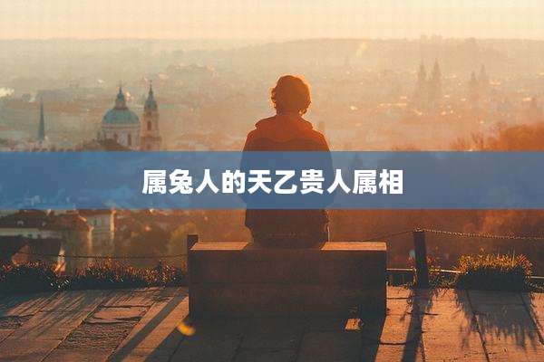 属兔人的天乙贵人属相
