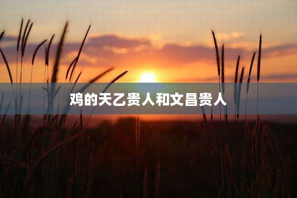 鸡的天乙贵人和文昌贵人