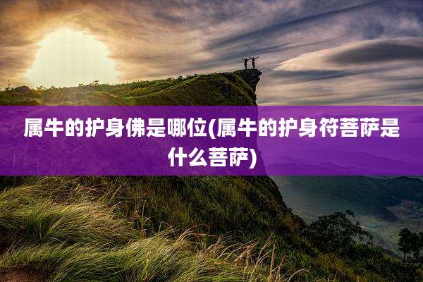 属牛的护身佛是哪位(属牛的护身符菩萨是什么菩萨)