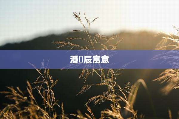 潘玥辰寓意