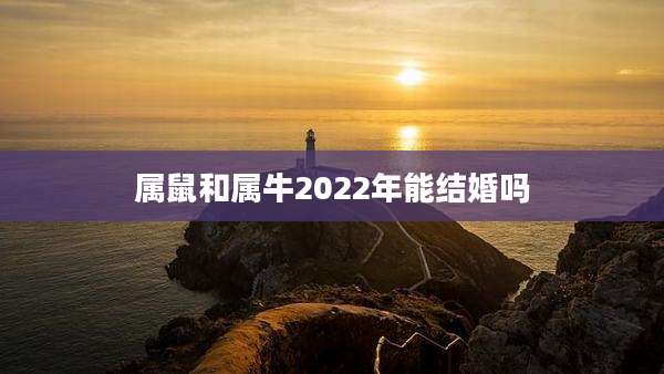 属鼠和属牛2022年能结婚吗