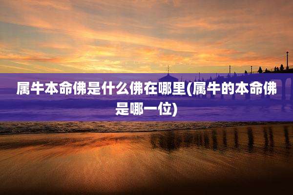 属牛本命佛是什么佛在哪里(属牛的本命佛是哪一位)
