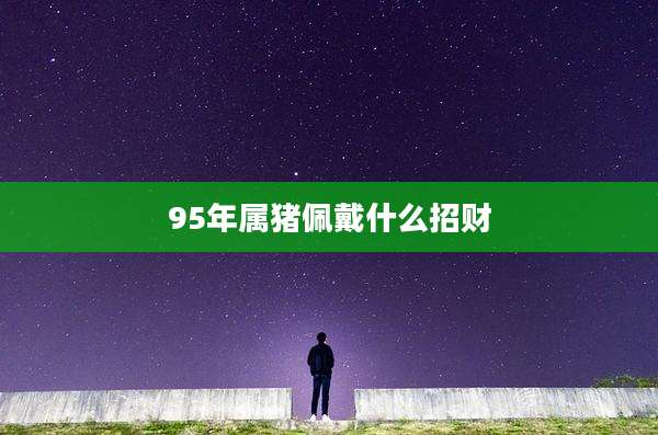 95年属猪佩戴什么招财