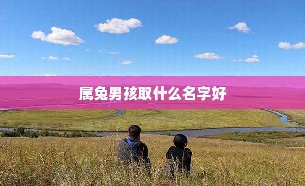 属兔男孩取什么名字好