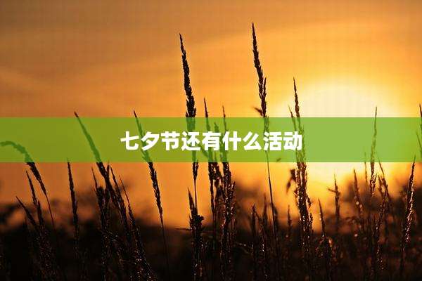 七夕节还有什么活动