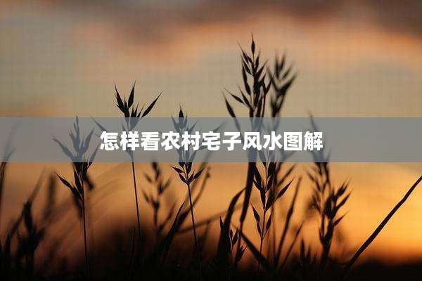 怎样看农村宅子风水图解