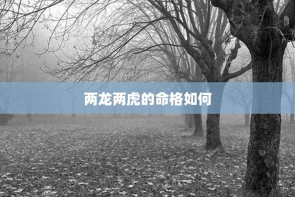 两龙两虎的命格如何