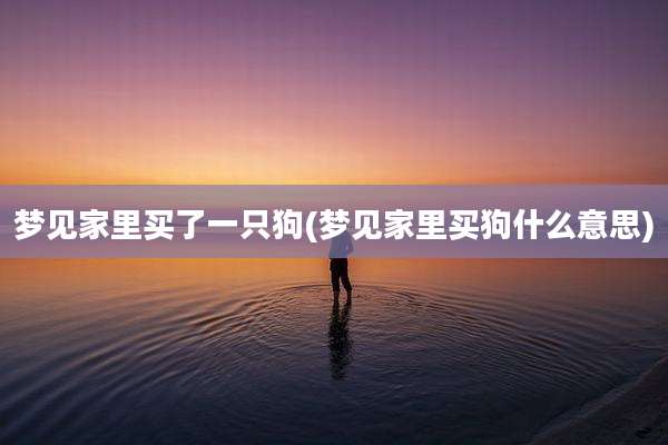 梦见家里买了一只狗(梦见家里买狗什么意思)