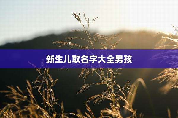 新生儿取名字大全男孩