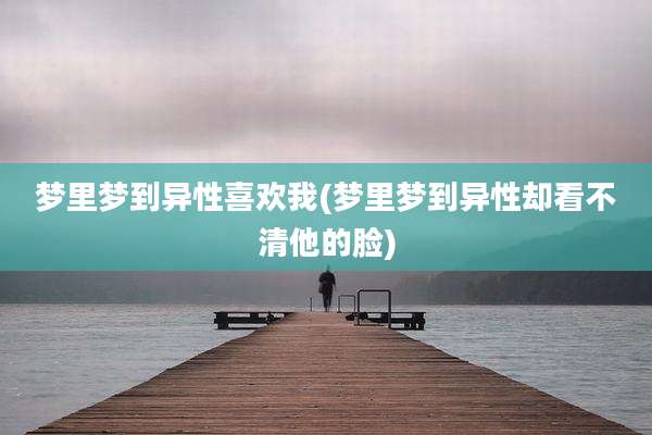 梦里梦到异性喜欢我(梦里梦到异性却看不清他的脸)