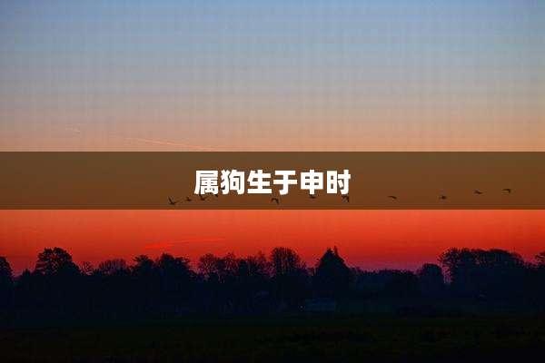 属狗生于申时
