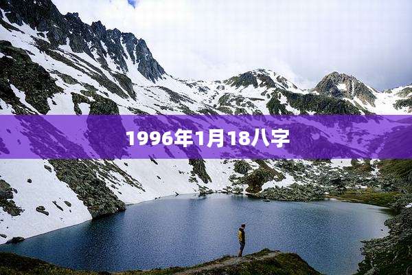 1996年1月18八字