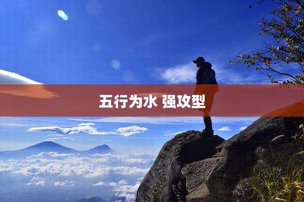 五行为水 强攻型