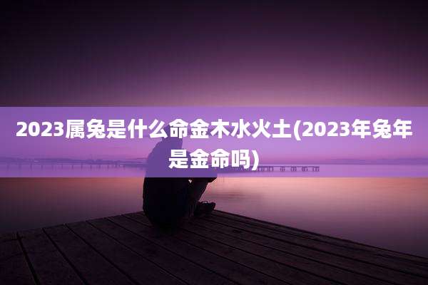 2023属兔是什么命金木水火土(2023年兔年是金命吗)