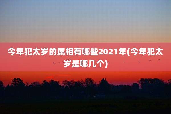 今年犯太岁的属相有哪些2021年(今年犯太岁是哪几个)