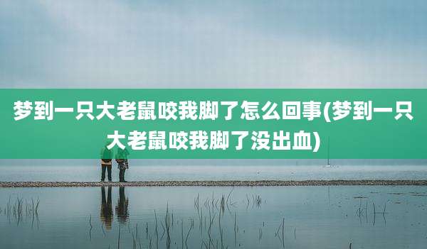梦到一只大老鼠咬我脚了怎么回事(梦到一只大老鼠咬我脚了没出血)