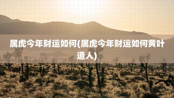 属虎今年财运如何(属虎今年财运如何黄叶道人)
