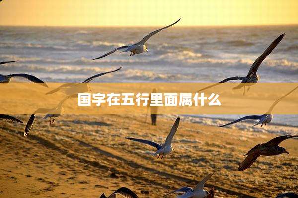 国字在五行里面属什么