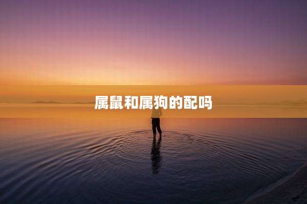 属鼠和属狗的配吗