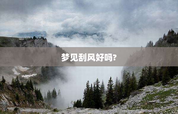 梦见刮风好吗?