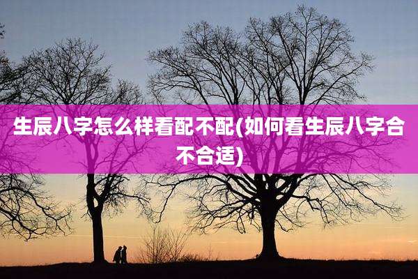 生辰八字怎么样看配不配(如何看生辰八字合不合适)