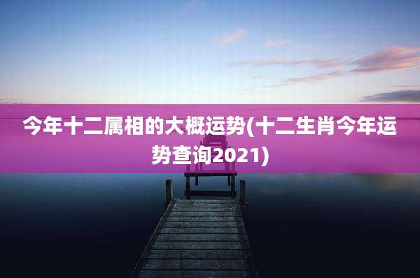 今年十二属相的大概运势(十二生肖今年运势查询2021)