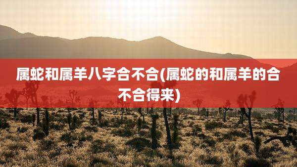 属蛇和属羊八字合不合(属蛇的和属羊的合不合得来)