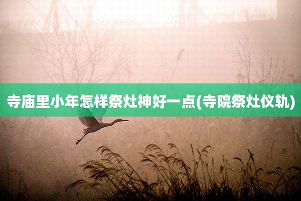 寺庙里小年怎样祭灶神好一点(寺院祭灶仪轨)