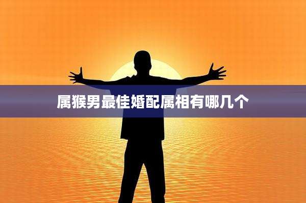 属猴男最佳婚配属相有哪几个