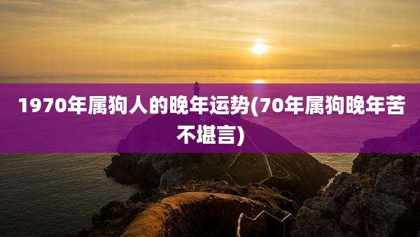 1970年属狗人的晚年运势(70年属狗晚年苦不堪言)