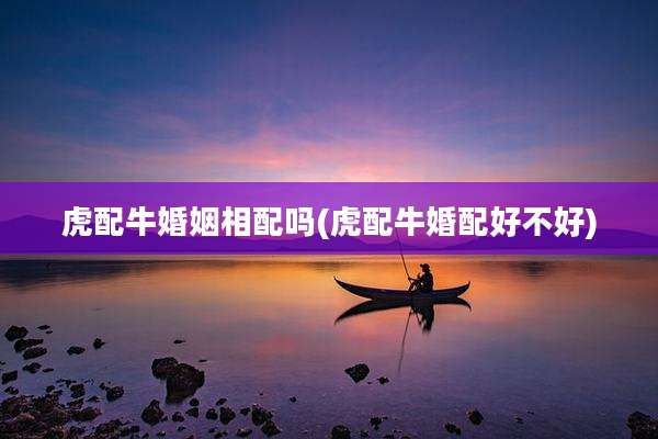 虎配牛婚姻相配吗(虎配牛婚配好不好)