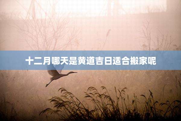 十二月哪天是黄道吉日适合搬家呢