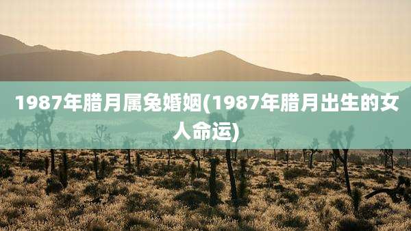 1987年腊月属兔婚姻(1987年腊月出生的女人命运)