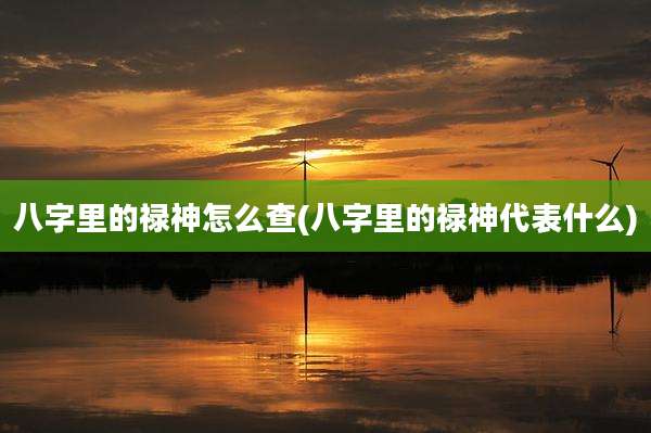 八字里的禄神怎么查(八字里的禄神代表什么)