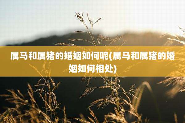 属马和属猪的婚姻如何呢(属马和属猪的婚姻如何相处)