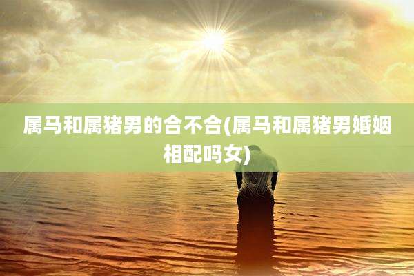 属马和属猪男的合不合(属马和属猪男婚姻相配吗女)