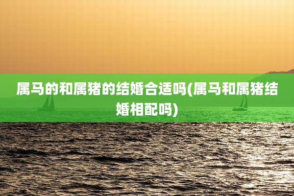 属马的和属猪的结婚合适吗(属马和属猪结婚相配吗)