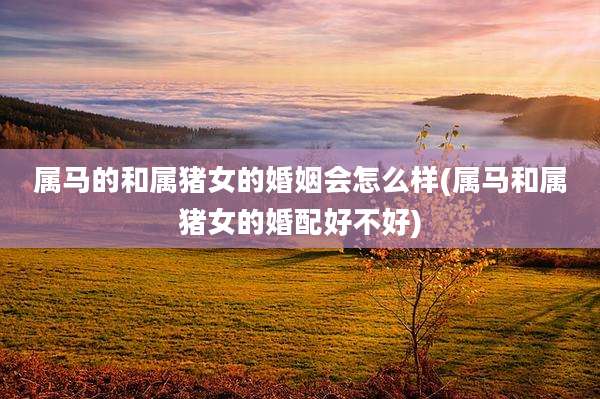 属马的和属猪女的婚姻会怎么样(属马和属猪女的婚配好不好)