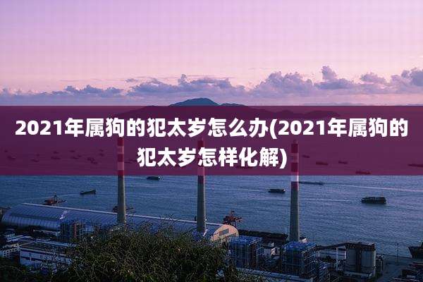 2021年属狗的犯太岁怎么办(2021年属狗的犯太岁怎样化解)