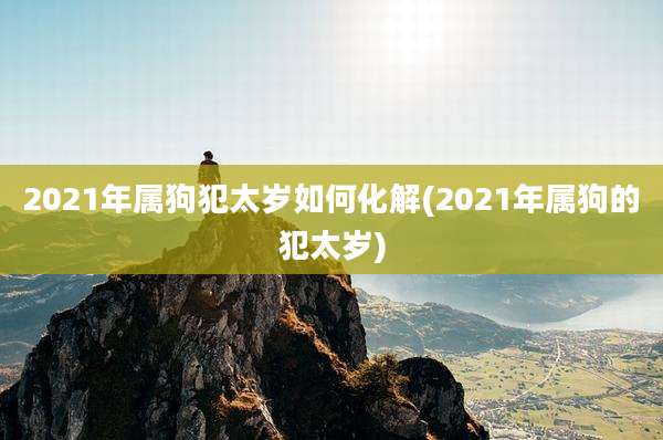 2021年属狗犯太岁如何化解(2021年属狗的犯太岁)