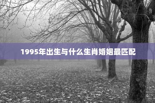 1995年出生与什么生肖婚姻最匹配