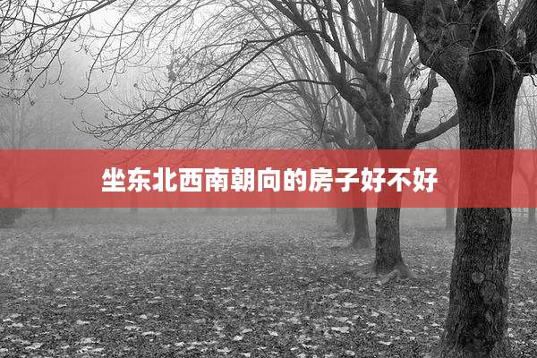 坐东北西南朝向的房子好不好