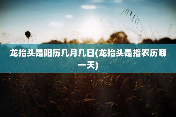 龙抬头是阳历几月几日(龙抬头是指农历哪一天)