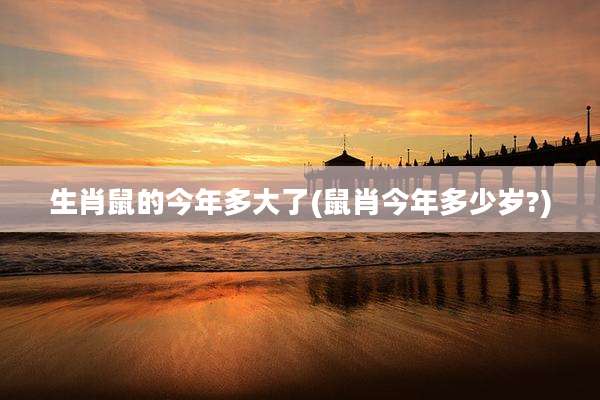 生肖鼠的今年多大了(鼠肖今年多少岁?)