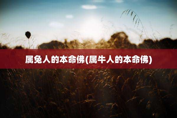 属兔人的本命佛(属牛人的本命佛)