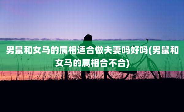 男鼠和女马的属相适合做夫妻吗好吗(男鼠和女马的属相合不合)