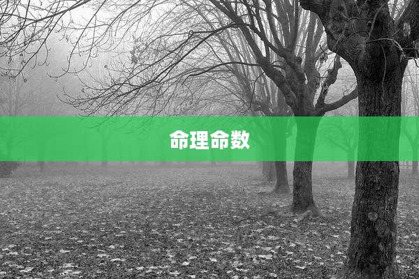 命理命数