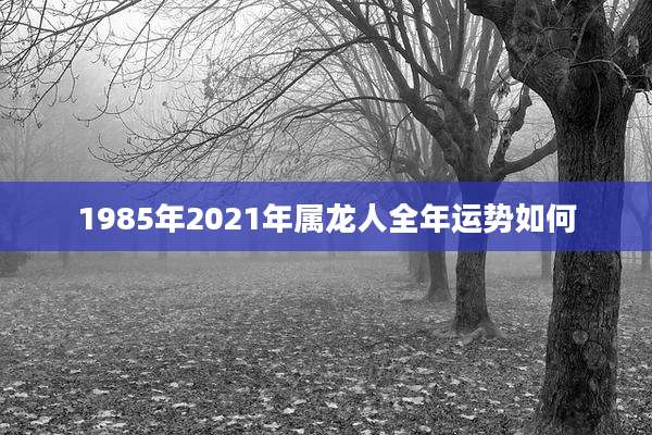 1985年2021年属龙人全年运势如何