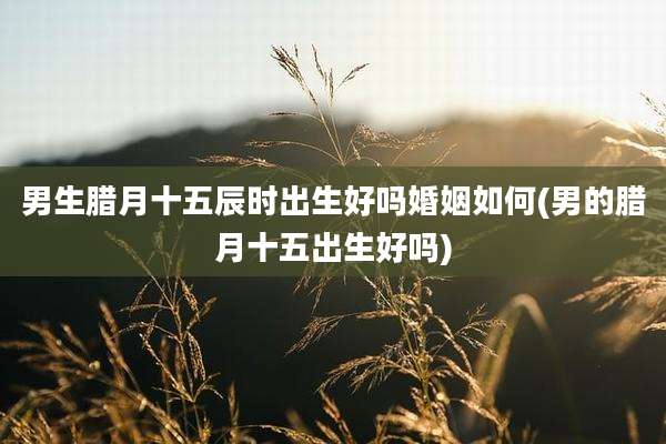 男生腊月十五辰时出生好吗婚姻如何(男的腊月十五出生好吗)